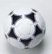 ACL,白鲨与斗鱼,荣耀登顶,乐鱼体育平台,乐鱼体育官方网站,乐鱼体育登录入口,乐鱼体育app下载