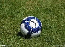 乐鱼体育,资讯,乐鱼体育平台,乐鱼体育平台,乐鱼体育官方网站,乐鱼体育登录入口,乐鱼体育app下载