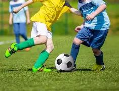 年网站建设,行业翘楚盘,十大制作公,乐鱼体育平台,乐鱼体育官方网站,乐鱼体育登录入口,乐鱼体育app下载