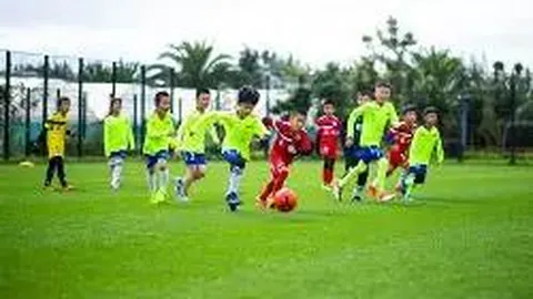 揭秘近期“塌房”的6位体坛巨星，究竟是谁？