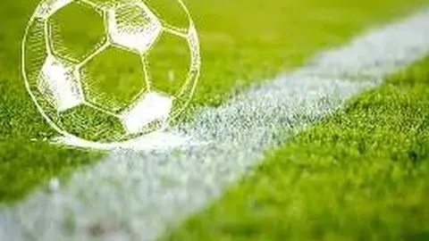 乐鱼体育 资讯 110107 nnl