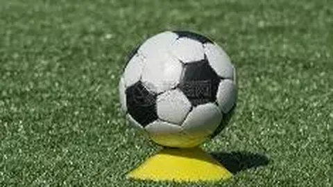 乐鱼体育 产品 092002 wv7